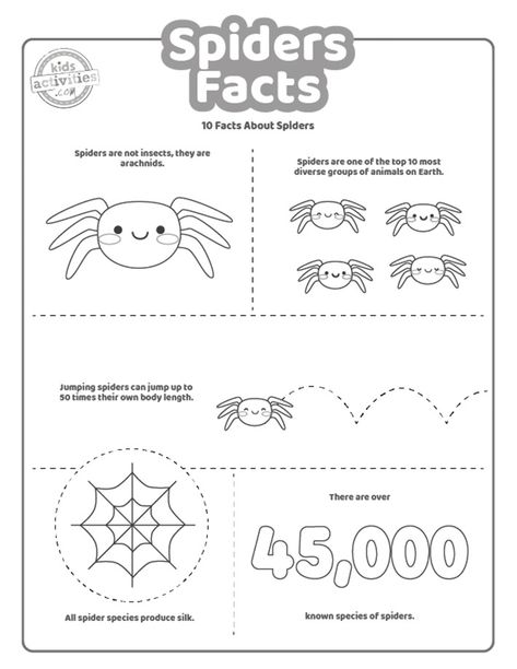 Fun Spider Facts For Kids To Print and Learn | Kids Activities Blog Spiders Worksheet, Spider Activities For First Grade, Spider Unit 1st Grade, Spiders 1st Grade, Spider Facts For Kids, Spider Fact, Facts For Kids, Played Yourself, Favorite Child