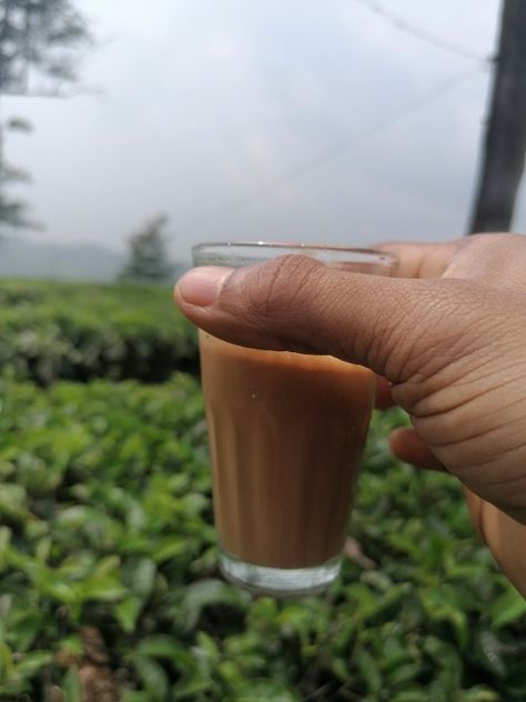 Tea time @ Valparai Tamilnadu Valparai Photography, Instagram Story App, Actors Illustration, Kodaikanal, Insta Profile, Munnar, Insta Post, Insta Profile Pic, Best Background Images