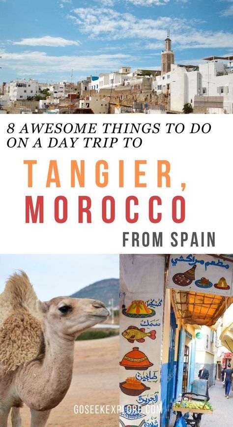 Awesome things you have to do on a day trip to Tangier, Morocco! Traveling from Spain to Tangier is totally worth it, and this guide will help you plan your trip so you can make the most of your limited time! goseekexplore.com #morocco #tangier #moroccodaytrip #spaintravel #spain #seville Outfits Spain, Travel Ibiza, Travel Madrid, Tanger Morocco, Spain Seville, Gertrude Bell, Beach Spain, Visit Spain, Travel Morocco