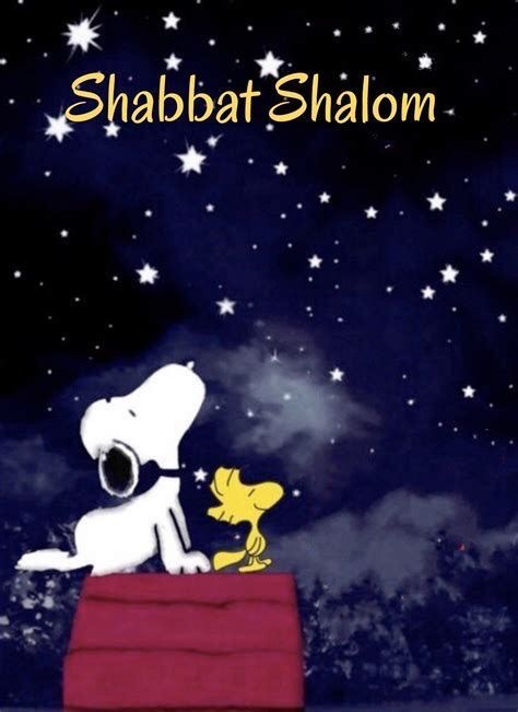 Hanukkah Pictures, Jewish Greetings, Jewish Beliefs, Shabbat Shalom Images, Chinese Historical Drama, Shabbat Shalom, Funny Cartoon Quotes, Sweet Quotes, Cartoon Quotes