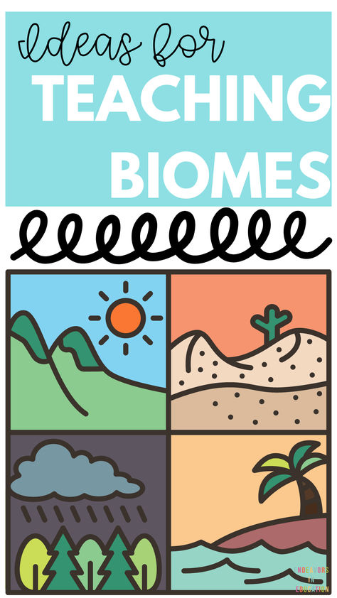 Looking to teach your students about biomes? This comprehensive blog post is a must-read for elementary science teachers! It covers engaging activities through detailed explanations, this blog post will help you bring the diverse world of biomes to life in your classroom. Perfect for enhancing your science lessons and keeping your students excited about learning. Pin this for your next lesson plan! #ElementaryScience #TeachingBiomes #ScienceActivities #ClassroomIdeas #TeacherTips Biome Project Ideas, Teaching Biomes, Biomes Activities, Biology Lesson Plans, Elementary Science Teacher, Biomes Project, Elementary Classroom Themes, 4th Grade Science, Biology Lessons