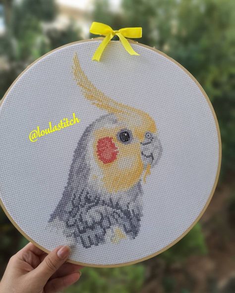 Cockatiel cross stitch .. parrot crossstitch By loulastitch Cockatiel Tattoo, Parrot Cross Stitch Pattern, Parrot Cross Stitch, Hand Embroidery Patterns Flowers, Melty Beads, Cross Stitch Bird, Pixel Pattern, Hand Embroidery Patterns, Punch Needle