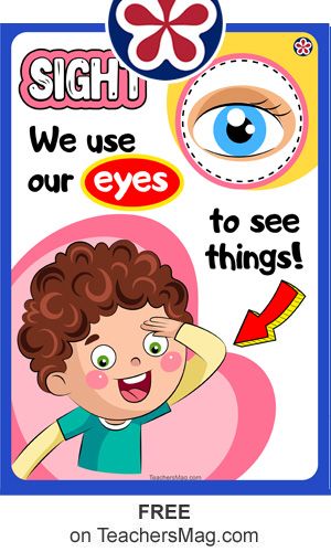 Sight: We use our eyes to see things! All about me and 5 senses theme pictures for preschoolers. Print a variety of posters and use them to decorate the walls of your daycare I See With My Eyes Preschool, 5 Senses Flashcards Free Printable, 5 Senses Preschool Printables Free, Five Senses Preschool Printables Free, Sense Of Sight Worksheet, Sense Of Sight Activities Preschool, 5 Senses Activities For Preschoolers, 5 Senses Preschool, Five Senses Worksheet