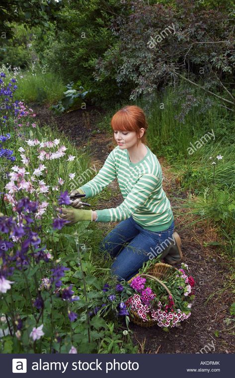 Download this stock image: Woman picking flowers in garden - AKDRMK from Alamy's library of millions of high resolution stock photos, illustrations and vectors. Woman Picking Flowers, Flowers In Garden, Leaves Sketch, Garden Illustration, Picking Flowers, Stock Photos Woman, Garden Images, Side Garden, Person Sitting