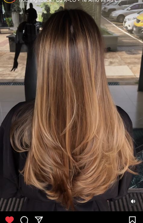 Layered Caramel Hair, Blonde Hazelnut Hair, Honey Blonde Hair On Dark Brown Hair, Hazelnut Blonde Balayage, Cool Undertones Hair Color Dark Brown, Honey Highlights In Brown Hair, Heavy Blonde Balayage On Brown Hair, Honey And Caramel Balayage, Honey Blonde Hair On Brown Hair