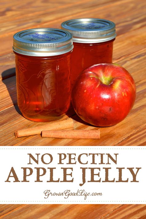 No Pectin Spiced Apple Jelly: Apples contain enough pectin naturally so no additional pectin is needed for this apple jelly recipe. #preserves #jelly #homemade Scrap Apple Jelly Recipe, Apple Gelee, Apple Jelly Recipe Canning, Spiced Apple Jelly, Apple Jelly Recipe, Homemade Jellies, Jelly Homemade, Crab Apple Recipes, Pectin Recipes