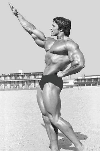 MOVING  PICS - 1975 - Arnold Schwarzenegger, Austria (30 July 1947) > USA, height 6-foot-2 (188 cm) Arnold Schwarzenegger Workout, Best Home Workout Equipment, Arnold Schwarzenegger Bodybuilding, Schwarzenegger Bodybuilding, Bodybuilding Pictures, Rachel Brosnahan, Natural Bodybuilding, Bodybuilding Supplements, Lois Lane