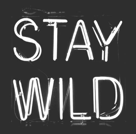 Stay Wild instagram instagram pictures instagram graphics instagram quotes stay wild Western Aesthetic Wallpaper, Cowboy Photography, Pixel Led, Western Quotes, Country Backgrounds, Western Wallpaper Iphone, Western Photo, Western Photography, Vision Board Pictures