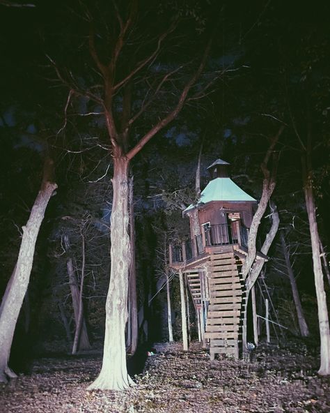 Grunge Places Aesthetic, Forest Horror Aesthetic, Horror Asthetics, Grunge Asthetics Photos, Treehouse Aesthetic, Fairycore House, Dark Asthetics, Grunge Forest, Horror Forest