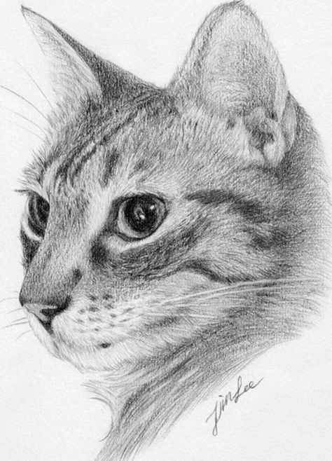 Realistic Cat Drawing, Portrait Au Crayon, Cats Art Drawing, Pencil Portrait Drawing, Custom Cat Portrait, Cat Sketch, Pets Drawing, Drawing Faces, 수채화 그림