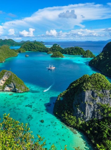 Tree Of Liberty, Raja Ampat Islands, Raja Ampat, Active Volcano, Different Shades Of Green, Swimming Holes, Tropical Islands, B L, Beautiful Islands