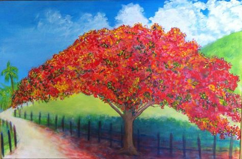 Flamboyant Tree - Rincon, P.R. Flamboyant Tree, Puerto Rico Art, Landscape Features, Sport Motivation, Puerto Rican, Featured Art, Tropical Flowers, Tree Painting, Family Reunion