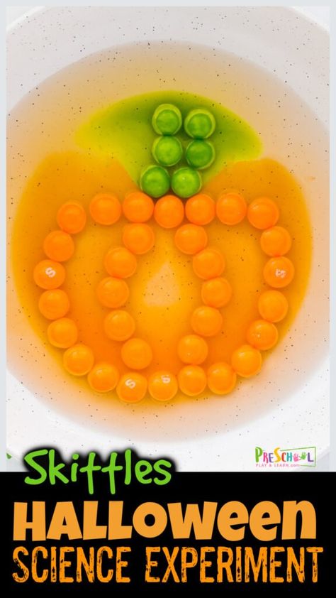 Pumpkin Science Experiment, Skittles Experiment, Pumpkin Math Activities, Candy Science Experiments, Science Projects For Preschoolers, Easy Science Projects, Pumpkin Science, Candy Science, Halloween Activities Preschool