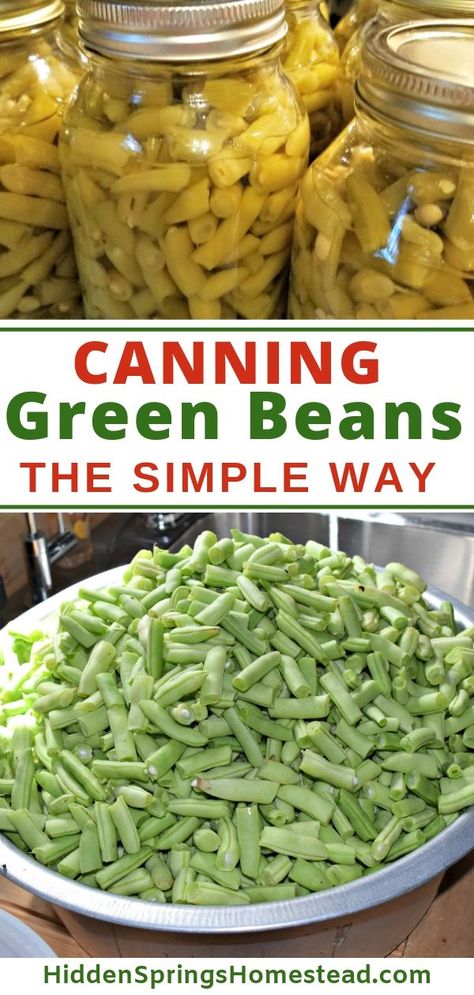 Pressure Canning Green Beans, Preserving Green Beans, Canned Green Bean Recipes, Canning Green Beans, Canning Veggies, Freezing Veggies, Summer Canning, Canning Beans, Diy Extracts