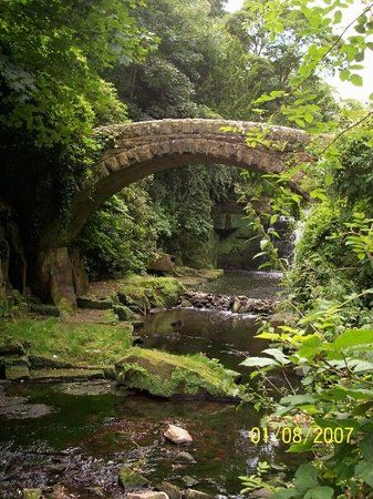 Jesmond Dene Park (Newcastle upon Tyne) - 2019 All You Need to Know Before You Go (with Photos) - Newcastle upon Tyne, England | TripAdvisor Jesmond Dene, Road Trip Uk, Newcastle University, What To Do Today, North East England, Tyne And Wear, To Do Today, Newcastle Upon Tyne, Local Area