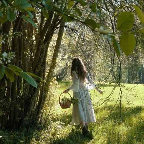 Home / X Elain Archeron, Cottagecore Witch, Green Academia, Fairytale Aesthetic, Cottage Aesthetic, Dream Photography, Dreamy Photography, Portrait Photos, Cottage Core Aesthetic