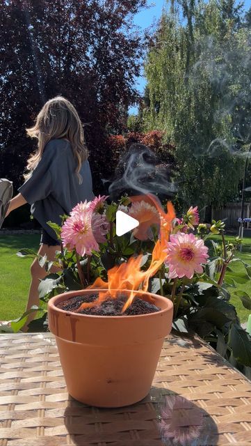 LINDSAY O’DONNELL on Instagram: "Did you know that burnt coffee grounds are a fantastic & natural way to keep mosquitos away this summer?

I’ll be honest, it’s not the most pleasant smelling DIY I’ve ever tried, but it does work….and it’s non-toxic. So place your coffee grounds somewhere in your yard that gives you a bit of distance from it and it still does the trick! It doesn’t have to be directly in your area to be effective ☺️

Here’s How:

Use a small terracotta pot and fill with fresh coffee grounds. Throw in 20 drops of citrus essential oils & light it up! It’ll smoke for hours 💨
.
.
#lowtoxliving #nontoxichome #diyideas" Burn Coffee Grounds For Mosquito, Coffee Ground Mosquito Repellent, Uses For Coffee Grounds In The Garden, Cleaning A Burnt Pot, Adding Coffee Grounds To Soil, Burnt Coffee, Small Terracotta Pots, Oil Light, Citrus Essential Oil