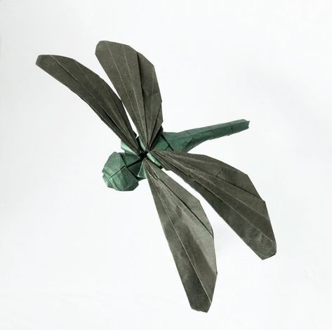 This beautiful origami dragonfly is designed by Shuki Kato and folded by Jan Groot #origami #dragonfly Origami Advanced, Origami Moth, Origami Dragonfly, Simple Dragonfly, Origami Insects, Origami Japan, Best Origami, Dads Room, Beautiful Origami