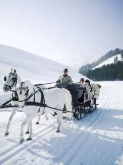 A Winter Sleigh Ride with Horses / Come join me on ("Believe in the Magic of Christmas" on Facebook & Pinterest) I plan to Surprise & Delight you this Holiday Season!  XOX Jody Lippizaner, Equestrian Memes, Horse Drawn Sleigh, Horse Sleigh, Fur Blankets, Horse Wagon, One Horse Open Sleigh, Carriage Ride, Sleigh Rides