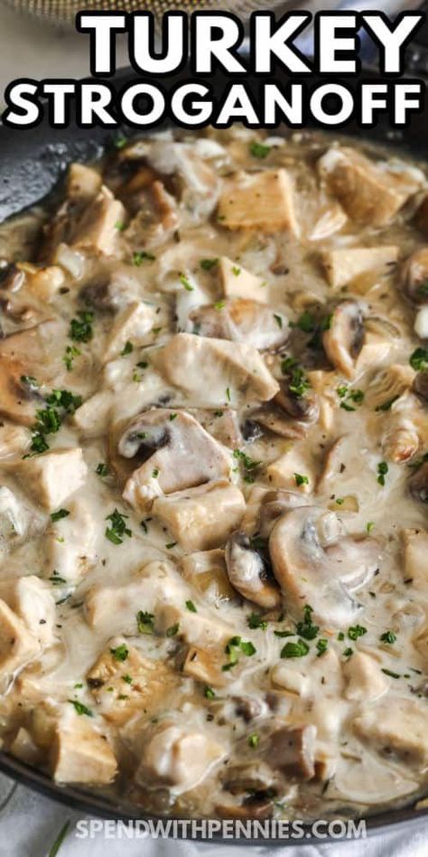 Turkey stroganoff is a creamy pasta dish made with ground or leftover meat in a savory mushroom garlic cream sauce. Usually served over egg noodles, this old-fashioned favorite is easy to make and great for weeknights. #spendwithpennies #turkeystroganoff #ground #recipe #healthy #easy #leftovers #instantpot #crockpot #mushroom Mushroom And Ground Turkey, Turkey Stroganoff Recipe Easy, Turkey Leg Leftover Recipes, Turkey Mushroom Recipes, Ground Turkey Mushroom Recipes, Turkey And Mushroom Recipes, Canned Turkey Recipes, Ground Turkey And Mushroom Recipes, Turkey And Rice Recipes