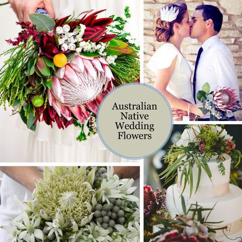 Koch & Co Australian Native Wedding Flowers Native Wedding Flowers, Australian Native Wedding, Native Wedding, Country Wedding Ideas, Cheap Wedding Decorations, Rustic Wedding Decorations, Country Style Wedding, Country Theme Wedding, Australian Native Flowers