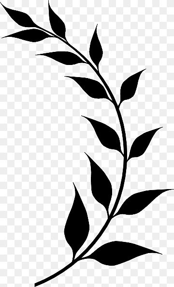 Leaf Sillouhette, Olive Branch Silhouette, Black Leaf Png, Laurel Leaves Drawing, Plant Silhouette Art, Leaf Branch Drawing, Olive Leaf Drawing, Bay Leaf Tattoo, Black Leaf Tattoo