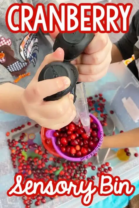 Crabberries in the Sensory Bin for Preschool A hands-on cranberry sensory bin is perfect for a Thanksgiving theme. Your preschool kids will love using turkey basters and real cranberries. #SensoryBin #SensoryPlay #Preschool Strawberry Activities, Prek Sensory, Light Fixture Makeover, Preschool Sensory, Turkey Baster, Diy Wainscoting, Diy Blanket Ladder, Unicorn Ornaments, Wood Wall Art Diy