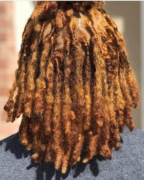 The Natural Transition Woman Locs, Afro Hair Woman, Dread Head, Beautiful Dreadlocks, Short Locs Hairstyles, Dreadlock Styles, Dreads Styles, Loc Journey, Natural Hair Beauty