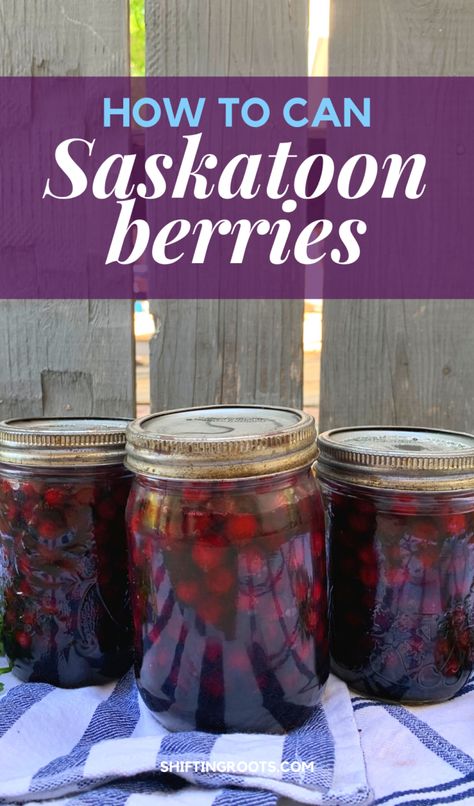 How to Can Saskatoon Berries Canning Berries, Saskatoon Berry Recipes, Service Berry Tree, Saskatoon Recipes, Saskatoon Berry Recipe, Service Berry, Saskatoon Berry Pie, Berry Pie Filling, Flavored Alcohol