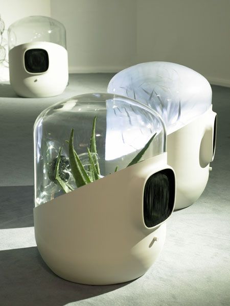 Bel-Air is a filtration system designed by Mathieu Lehanneur, which uses living plants to purify the air indoors. Mathieu Lehanneur, Natural Air Purifier, Air Filtration System, Id Design, Humidifiers, House Made, Plant Design, Indoor Air, Air Quality