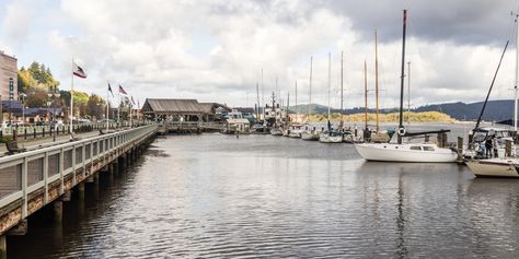 Oregon Aesthetic, Coos Bay Oregon, Oregon Nature, Oregon Coastline, Oregon Mountains, Oregon Forest, Crater Lake Oregon, Shell Island, Southern Oregon Coast