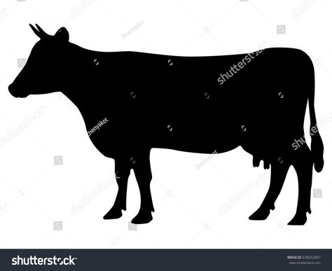 Vector illustration of a black silhouette cow. Isolated white background. Icon cow side view profile. silhouette#cow#Isolated#Vector Cow Side Profile, Cow Side View, Side View Profile, Cow Icon, Profile Silhouette, Black Silhouette, Side View, Royalty Free Photos, Farm Animals