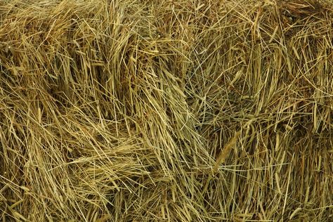 Horse Diorama, Haybale Gardening, Fairy Farm, Horse Nutrition, Diy Straw, Horse Info, American Girl Doll Diy, Diorama Ideas, Halloween Wood Crafts