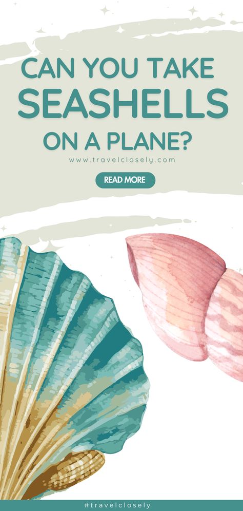 Can you pack seashells in your carry-on? Our guide breaks it down for you! Discover TSA guidelines, how to pack them securely, and enjoy the memories of your beach getaway while flying. Make your travel experience more memorable with these seashell travel tips! How To Poke A Hole In A Seashell, How To Clean Shells From The Beach, Clean Shells From The Beach, How To Clean Seashells From The Beach, Collecting Seashells Aesthetic, Budget Calculator, Checked Baggage, Budget Friendly Travel, International Flights