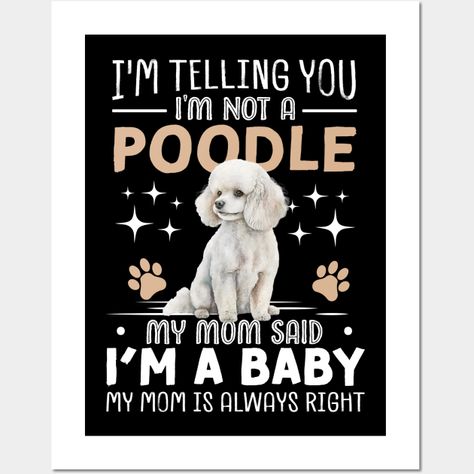 I'm telling you I'm not a poodle my mom said I'm a baby and my mom is always right -- Choose from our vast selection of art prints and posters to match with your desired size to make the perfect print or poster. Pick your favorite: Movies, TV Shows, Art, and so much more! Available in mini, small, medium, large, and extra-large depending on the design. For men, women, and children. Perfect for decoration. Labradoodle Vs Goldendoodle, Dog Harness Dress, Vintage Poodle, Harness Dress, Standard Poodles, Baby Posters, Poodle Puppy, Standard Poodle, Poodle Dog