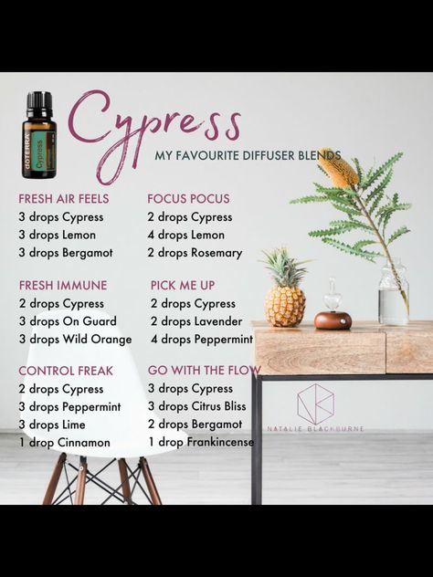 Cypress Diffuser Blends, Doterra Cypress, Witchy Oils, Doterra Oils Recipes, Eo Blends, Doterra Diffuser, Doterra Diffuser Blends, Doterra Oil, Cypress Essential Oil