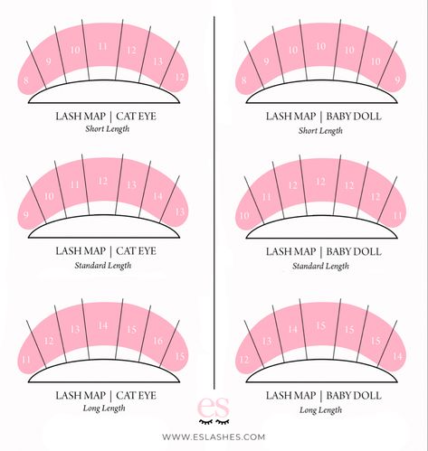 Lash maps for lash extensions mapping showing the cat eye and which length of lash extensions to apply and the doll eye Cat Eye Lash Extensions, Eyelash Extensions Care, Lash Maps, Eye Lash Extensions, Eyelash Extensions Salons, Lash Map, Kitten Eyes, Lash Mapping, Lash Quotes