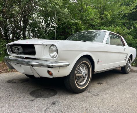 1966 Ford Mustang Coupe Red RWD Automatic Base V8 (13k Reserve!) - Classic Ford Mustang 1966 for sale 1966 Ford Mustang Coupe, 1966 Mustang Coupe Restomod, Old Red Mustang, Ford Mustang Classic, 1971 Mustang Mach 1 Restomod, Factory Five, Red Engine, Ford Mustang Coupe, Brakes Car