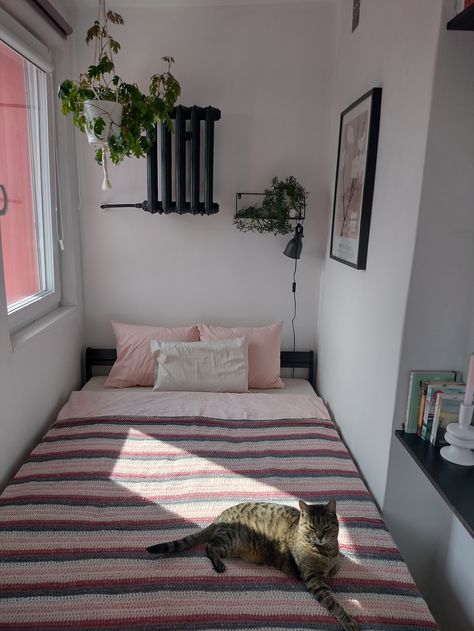 I'm a minimalist and like to own only the things that are useful or meaningful. My cats' needs are important: comfortable cushions on the window sill, woolen blankets, and easy access for the elderly Kizia Mizia. I love plants and keep expanding my collections of philodendrons, monsteras and pothos vines. As an autistic person, I need a soothing environment that lets me regulate and rest. Pothos Vine, I Love Plants, Woollen Blankets, Love Plants, Cool Apartments, City House, Tiny Living, Itty Bitty, Apartment Ideas