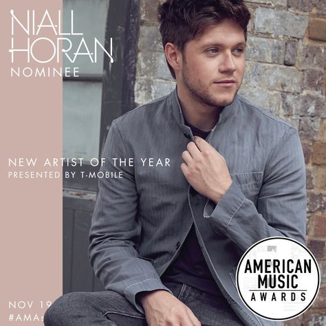 Flicker Album Cover, Flicker Niall Horan, Slow Hands, Irish Princess, Irish Boys, Disney Music, James Horan, Music Cds, American Music Awards