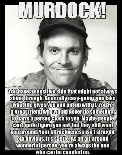 Hm Murdock, Dwight Schultz, Forged In Fire, The Loud House, Positive Inspiration, Old Shows, Great Tv Shows, Old Tv Shows, Loud House