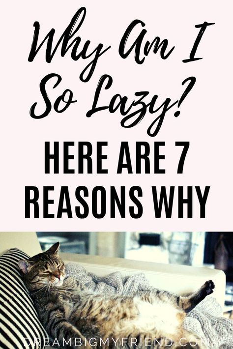 Why Am I So Lazy? 7 Reasons Why and What You Can Do About It | Productivity Tips | Stop Laziness | How to stop being lazy tips | How to stop being lazy motivation | How to stop being lazy idea | how to stop being lazy time management | how to stop being lazy at home | how to stop being lazy mom | Productive things to do at home | Productive things to do when bored | productive things to do ideas | Productive things to do successful people | Productive things to do on your day off | Laziness | Stop Laziness, Lazy Motivation, To Do Ideas, How To Overcome Laziness, Stop Being Lazy, Raising Godly Children, Feeling Lazy, How To Stop Procrastinating, Productivity Tips