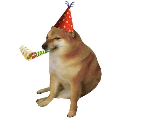 Birthday Pfp, Birthday Lol, Doge Dog, Dog Template, Doge Meme, Happy Birthday Dog, Birthday Icon, Happy Birthday Meme, Happy Birthday Pictures