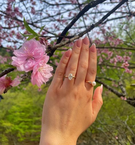 Proposal in Japan 🇯🇵🎏🌸🍣💕💍 Japan Proposal, Marriage Proposal, Marriage Proposals, Proposal Ideas, Cherry Blossoms, Seoul, Cherry Blossom, Blossom, Cherry