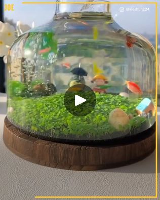 Water Grass Fish Tank, Water Grass, So Cool, Green Thumb, Kid Stuff, Fish Tank, Ecology, Fish, Water