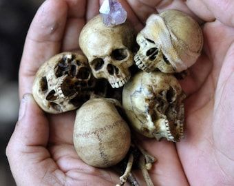 Bones Jewelry, Clay Skull, Amethyst Crystal Jewelry, Victorian Library, Sailor Moons, Realistic Skull, Bone Collector, Skull Sculpture, Miniature Ideas