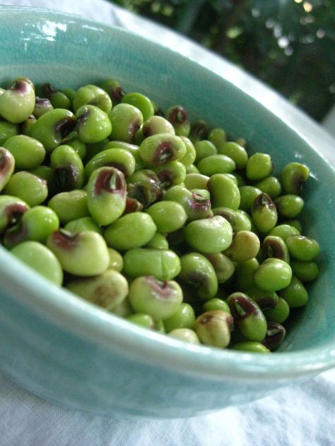 Pink Eye Peas Recipe, Pink Eyed Peas Recipe, Peas Recipe, English Peas, Pea Recipes, Pink Eye, Fava Beans, Stuffed Shells, Vegetable Sides