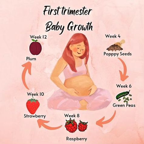 First Trimester Baby growth with picture ❤❤ Credit unknown All rights and credit goes to original creator💞 Dm For credit or remove please❤ #ParentingHacks101 #ChildhoodUnplugged #FamilyTimeFun #MomLifeMagic #DadLifeMoments #KidsActivitiesIdeas #ParentingWinning #ToddlerLifeTales #PositiveParentingVibes #ParentingJourneyJoy #babyhealthtips #babyfever #funnybabyvideos #cutebabies #babyproducts Pregnancy Prep, Healthy Baby Boy, Healthy Pregnancy Tips, Parenting Win, Pregnancy Art, Newborn Baby Tips, About Pregnancy, All About Pregnancy, Postpartum Doula