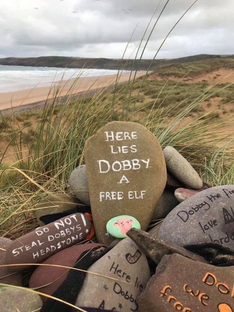 Free Dobby, Here Lies, Pembrokeshire Wales, Plein Air, Wales, Fresh Water, Elf, To Start, Sign Up