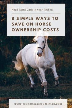 Horse Nutrition, Horse Ownership, Healthy Horses, Horse Exercises, Horse Care Tips, Horse Facts, Horse Info, Equestrian Helmet, Horse Training Tips